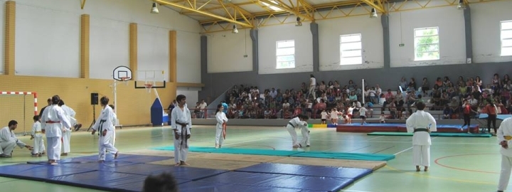 Sarau de Ginástica do C.D. "Os Águias" de Alpiarça