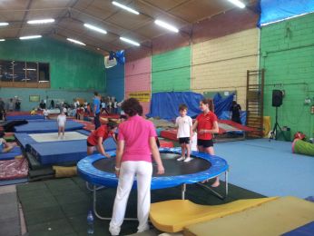 Distrital de Saltitões & Cangurus