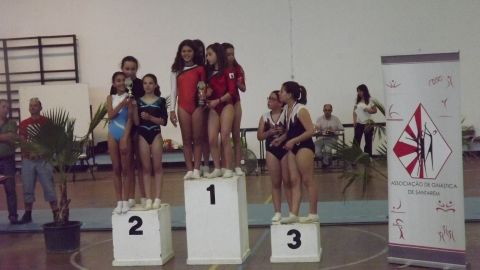Distrital de Mini-Trampolim