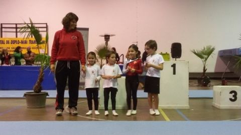 Campeonato Distrital de DMT