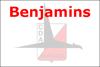Equipa de Futebol de Benjamins do C.D. "Os Águias" de Alpiarça