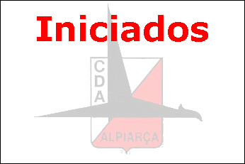 Equipa de Futebol de Iniciados do C.D. "Os Águias" de Alpiarça