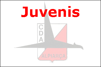 Equipa de Futebol de Juvenis do C.D. "Os Águias" de Alpiarça